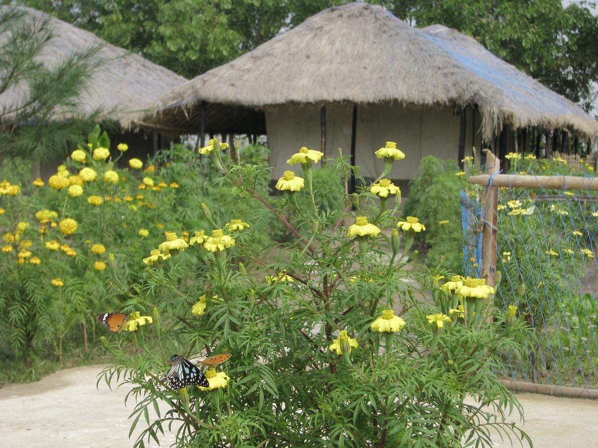 Estuarine Village Resort Sātabhāya Dış mekan fotoğraf